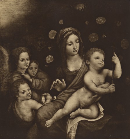 Anonimo — Anonimo - sec. XVI - Madonna con Bambino che tiene in mano un fuso, san Giovannino, Tobia e san Raffaele Arcangelo — insieme